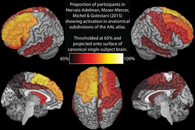 Commentary: Broca Pars Triangularis Constitutes a “Hub” of the Language-Control Network during Simultaneous Language Translation